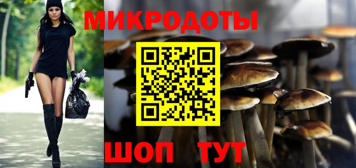 Кашира  Псилоцибиновые грибы прущие грибы  дарнет шоп  Вход с VPN  Псилоцибиновые грибы Magic Shrooms 