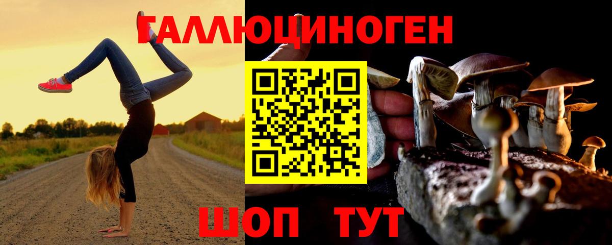 Галлюциногенные грибы мицелий Кашира